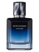 Intuition