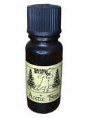 Artic Bear