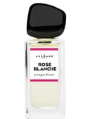 Rose Blanche