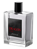 Dragon Fire Force
