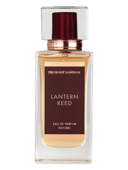 Lantern Reed