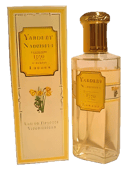Narcissus