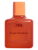 Bright Gardenia