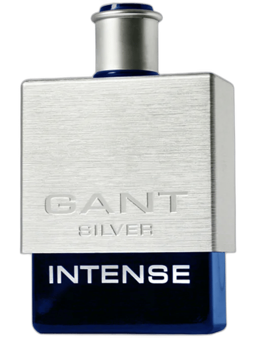 Silver Intense by Gant