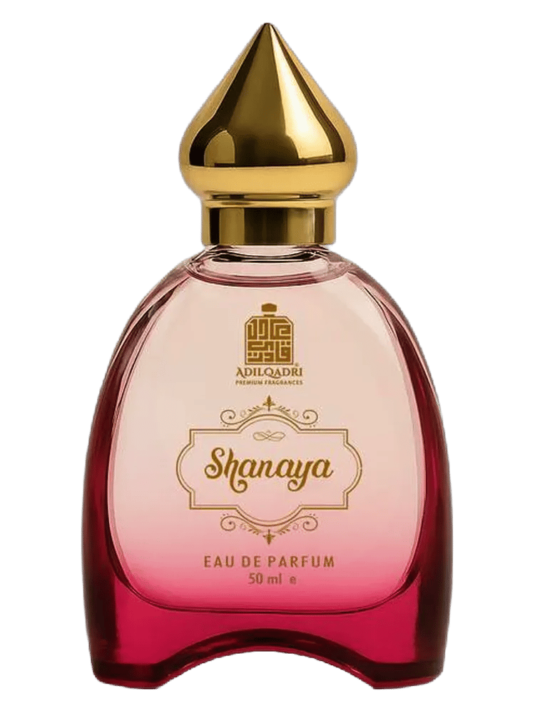 Shanaya by Adil Qadri