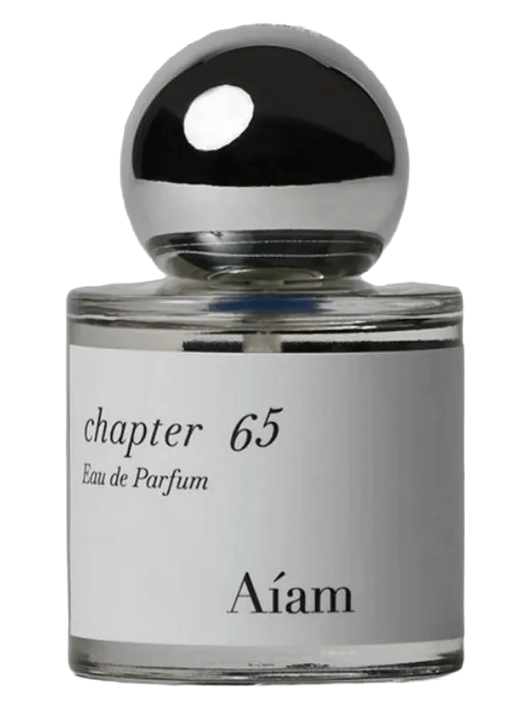 Chapter 65 by Aíam