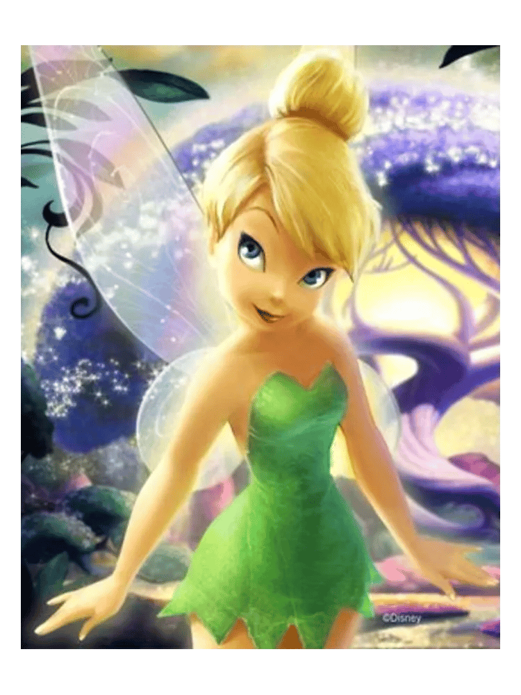Disney Fairies by Air Val International