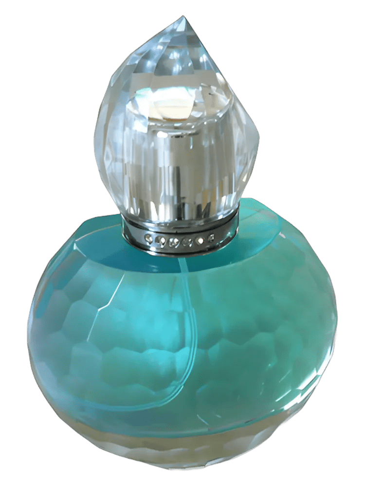 Coeur De Glace by Anthony Embry