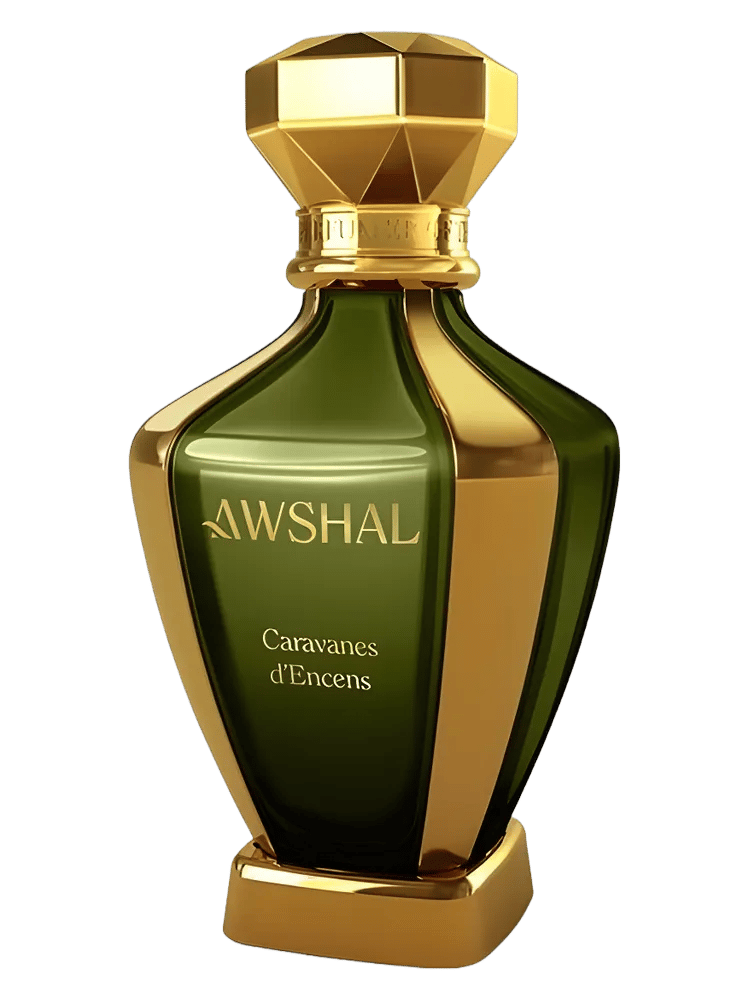 Caravanes d'Encens by Awshal