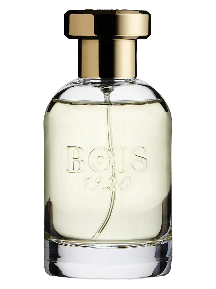 Paranà by Bois 1920