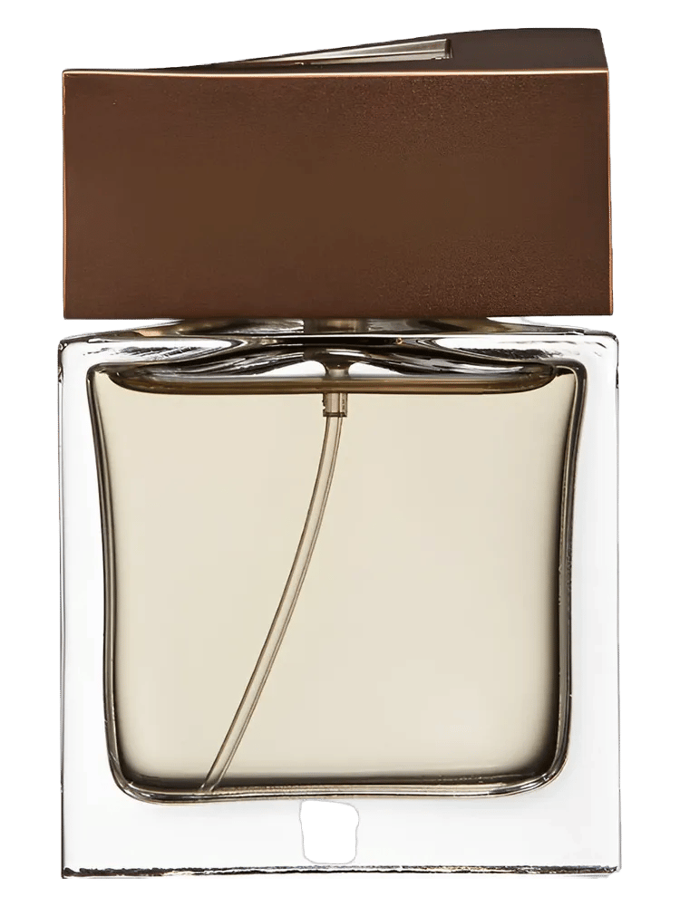 Brioni Man Eau de Parfum by Brioni