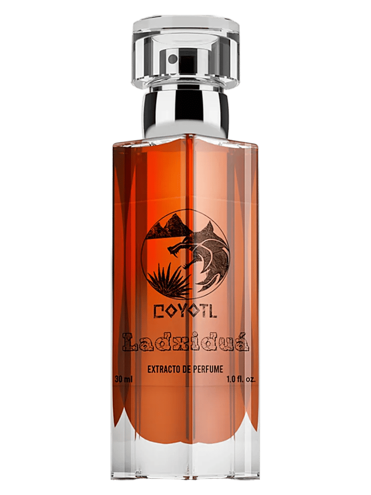 Ladxiduá by Coyotl