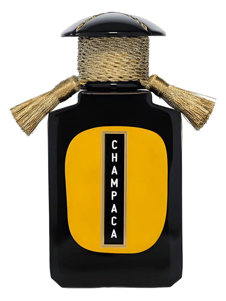 Champaca by Cultus Artem