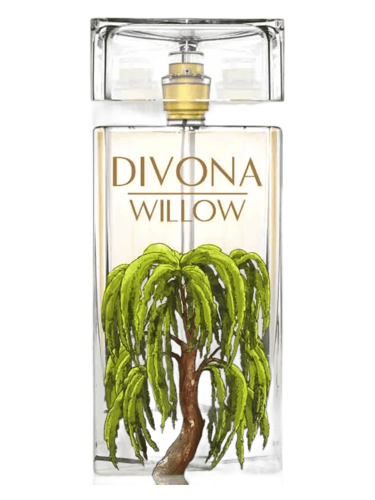 Willow by Divona
