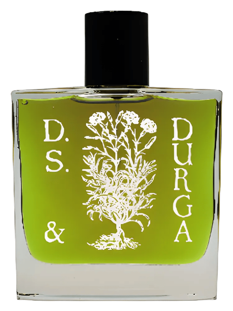 Boston Ivy by D.S. & Durga