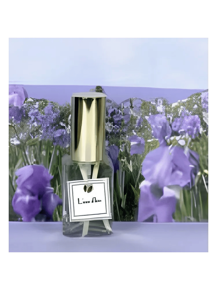 L’eau d’Iris by Dsh Perfumes