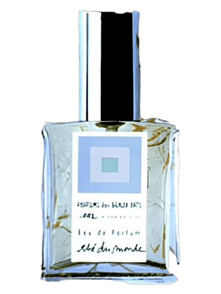 The´ du Monde by Dsh Perfumes