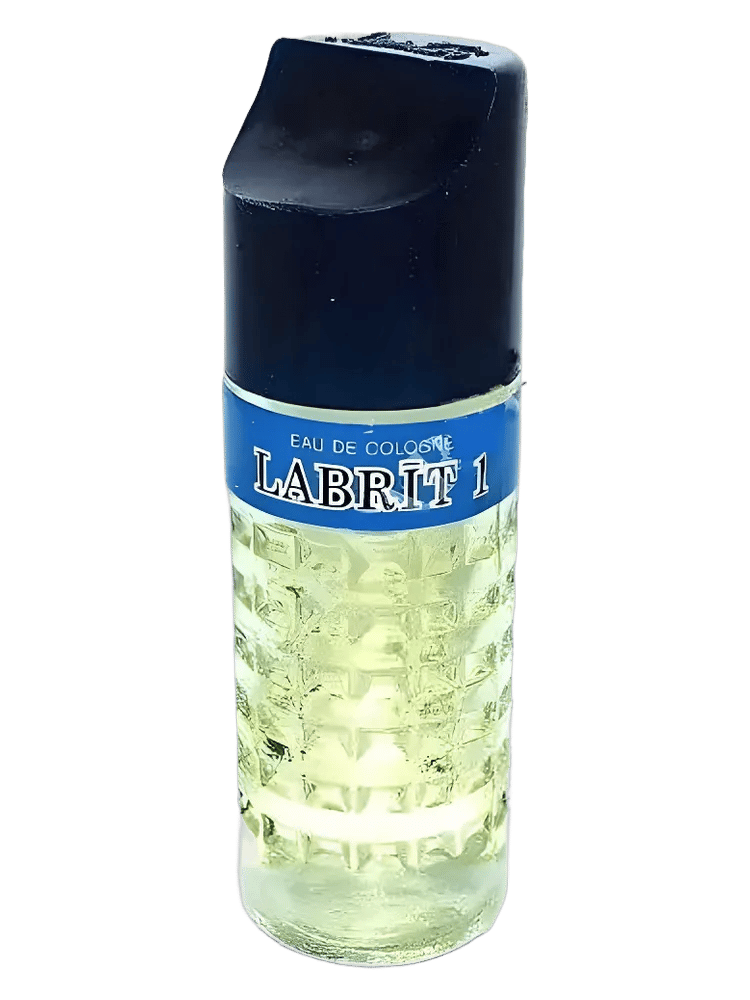 Labrīt 1 by Dzintars