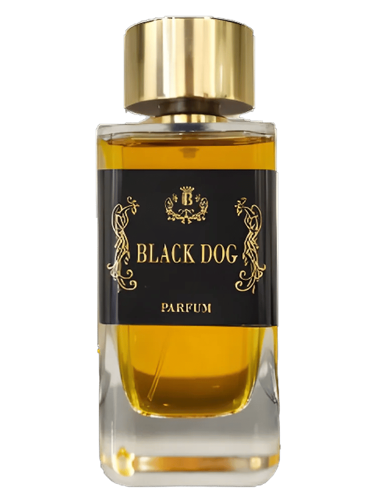 Black Dog by Enrico Buccella