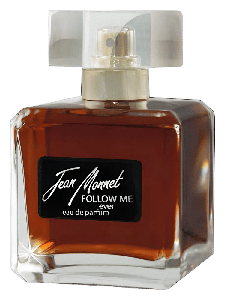 Follow Me Ever by Jean Monnet