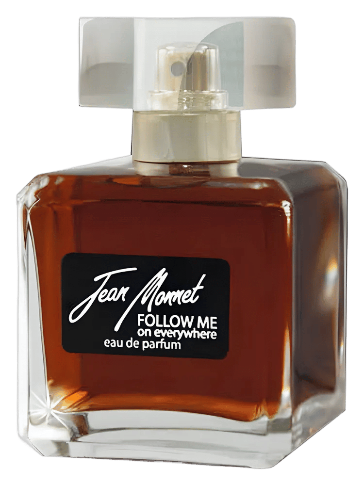 Follow Me on Everywhere by Jean Monnet