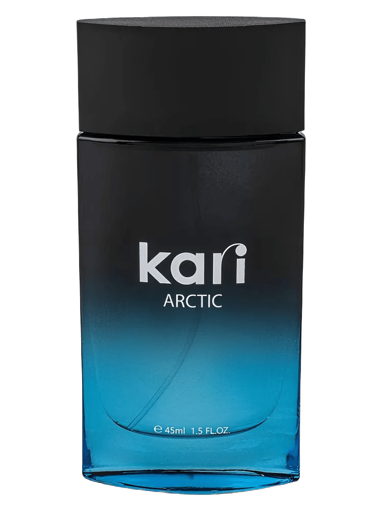 Arctic by kari