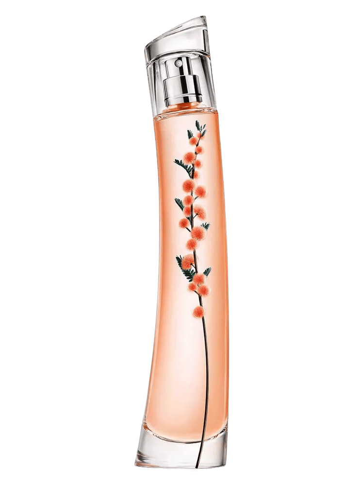 Flower Ikebana Mimosa by Kenzo