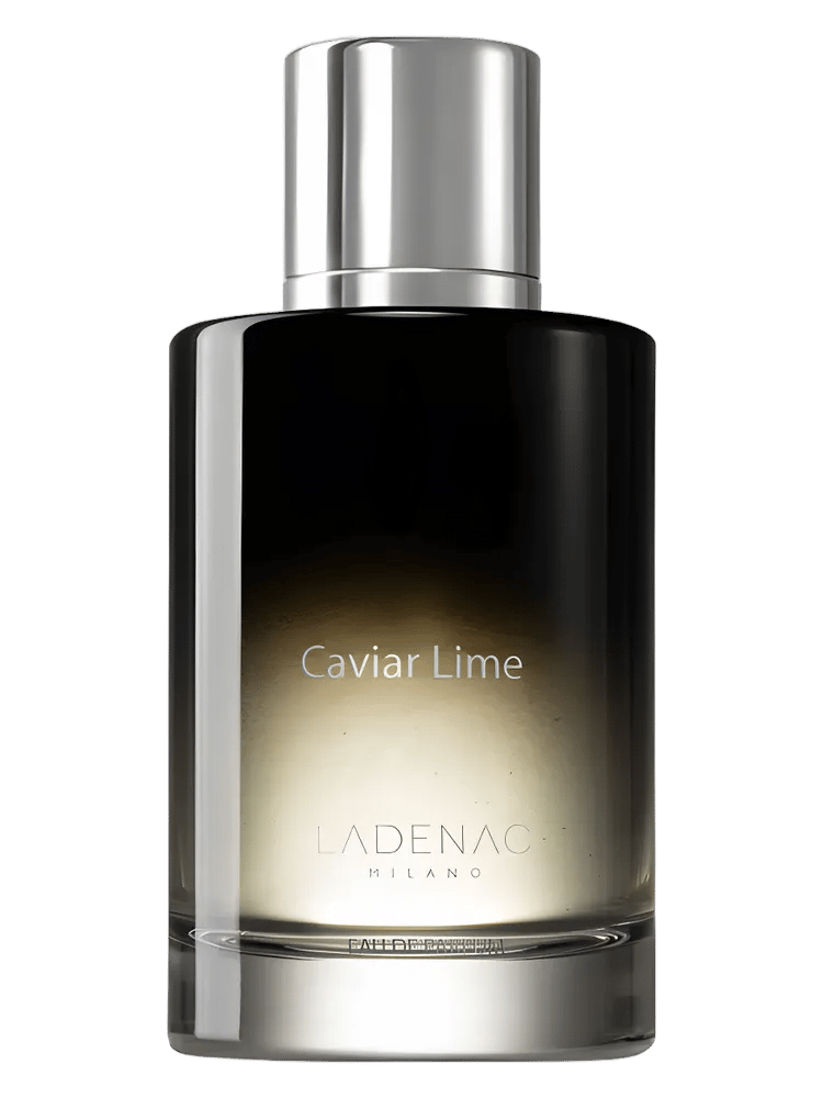 Caviar Lime by Ladenac