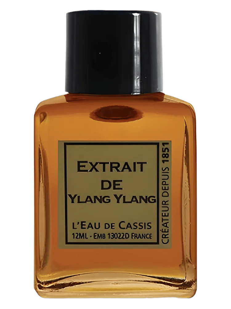Ylang Ylang by L'Eau De Cassis