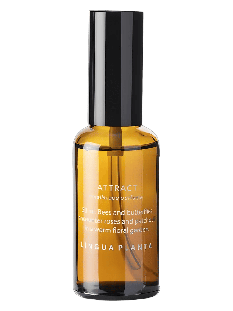 Attract by Lingua Planta