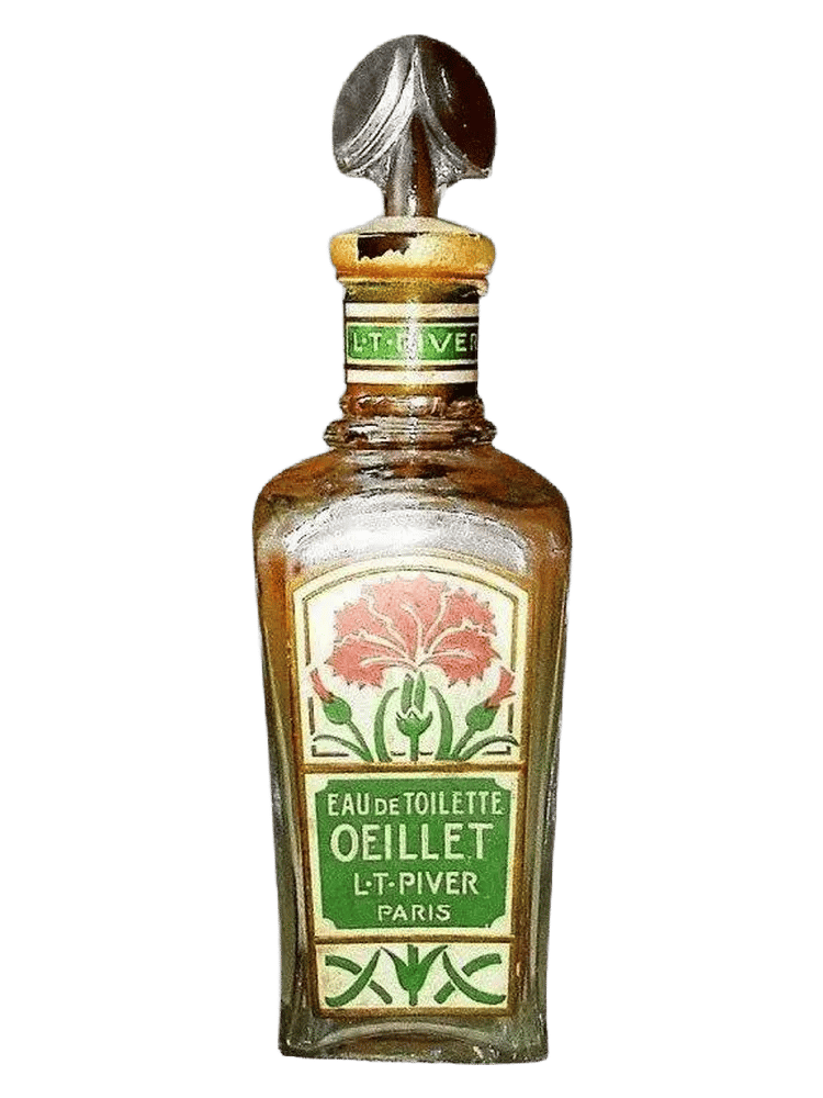 Oeillet by L.T. Piver