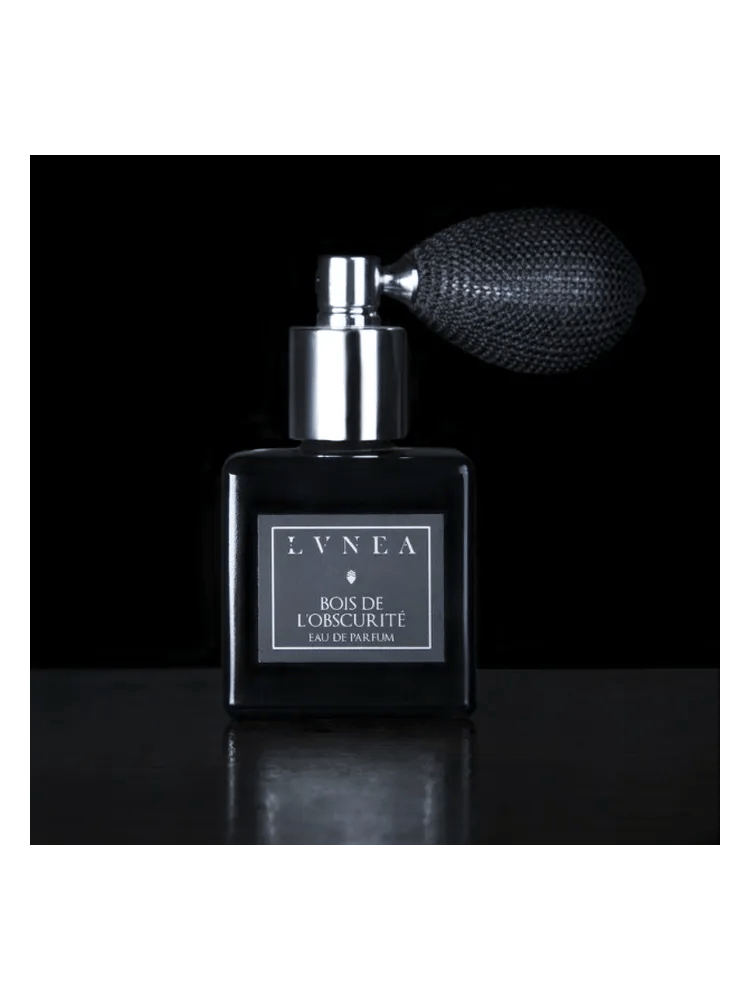 Bois de l'Obscurité by Lvnea