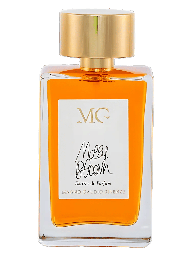 Molly Bloom by Magno Gaudio Firenze