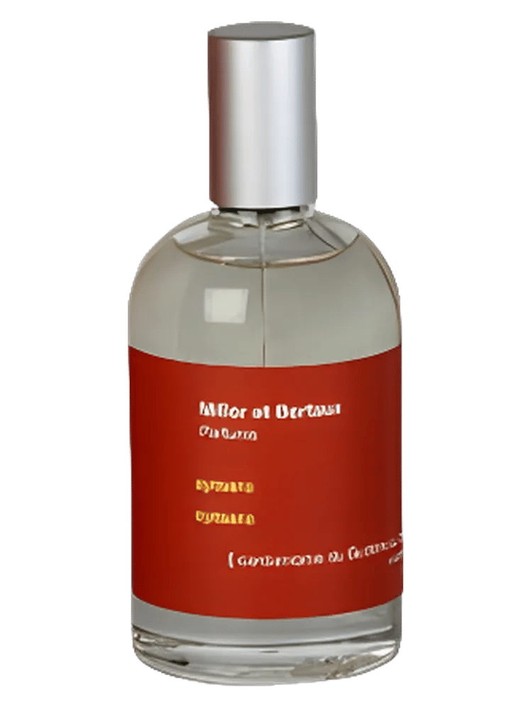 Aymara by Miller Et Bertaux