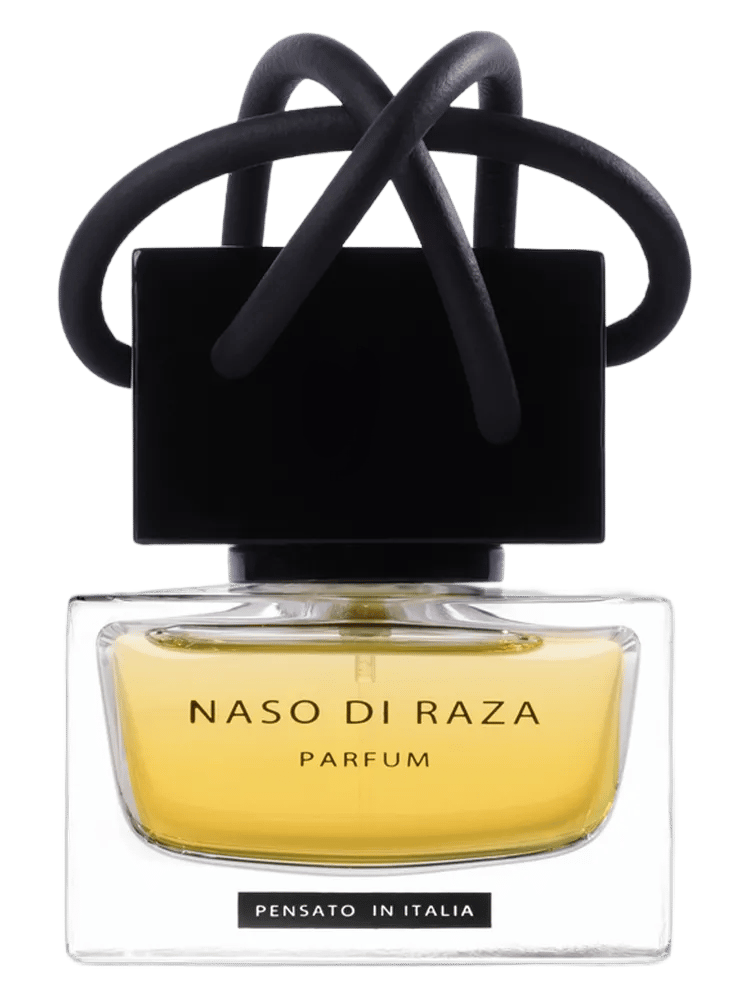 Fin Du Passe by Naso Di Raza
