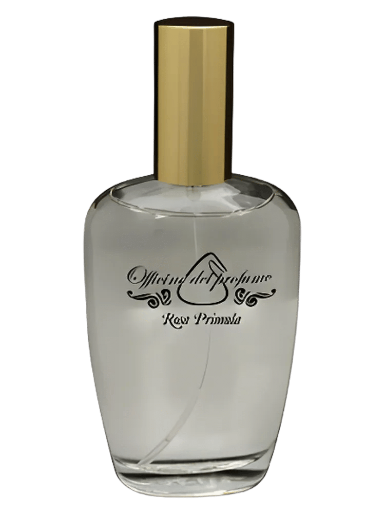Rosa Primula by Officine Del Profumo