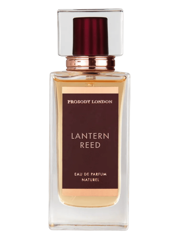 Lantern Reed by Prosody London