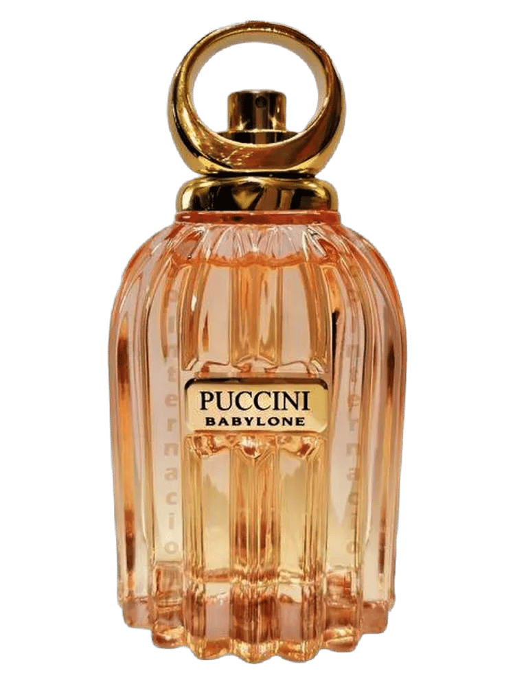 Babylone by Puccini Paris