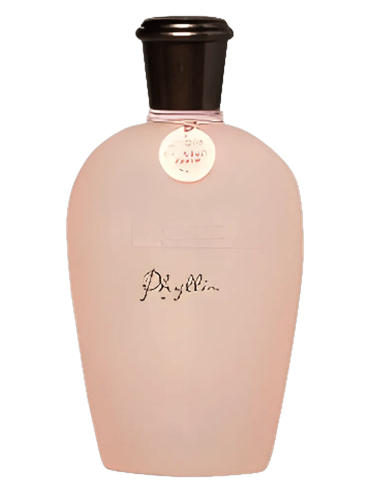 Phyllis by Pull & Bear