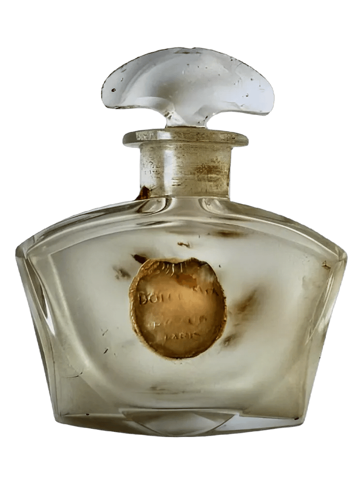 Dolce Mia by Rigaud