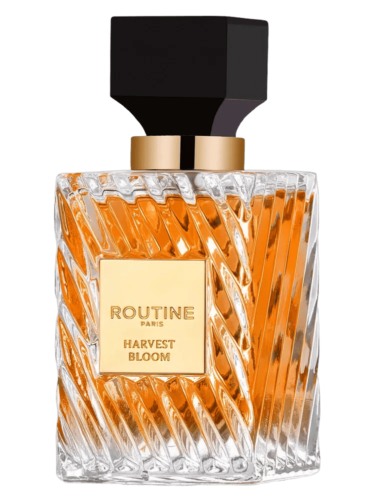 Harvest Bloom by Routine Paris