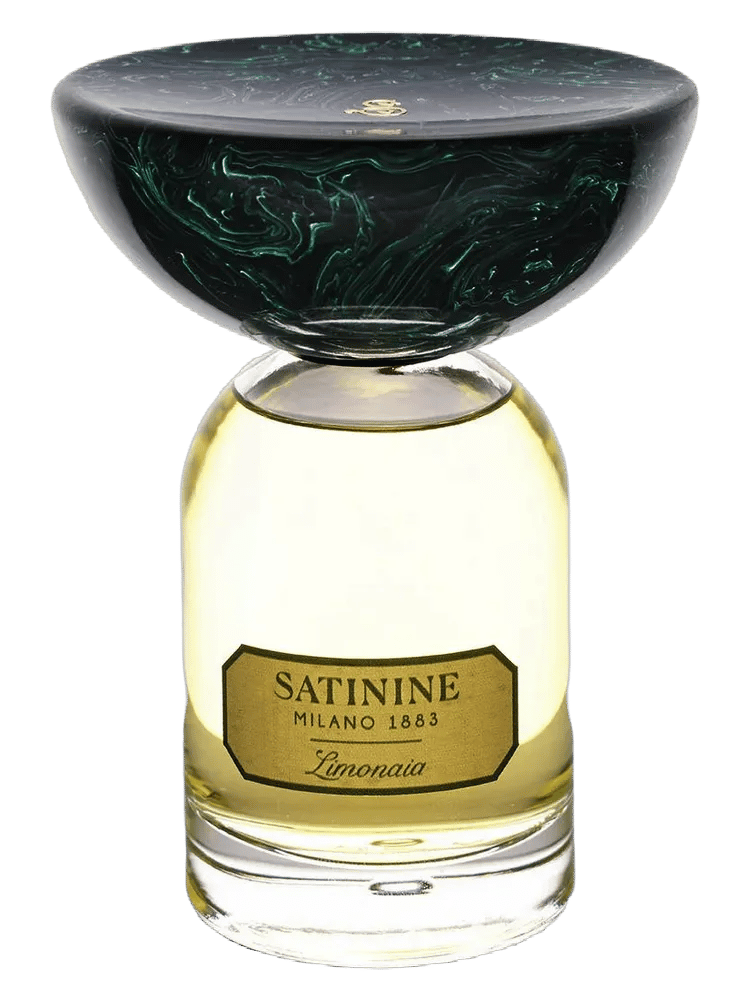 Limonaia by Satinine