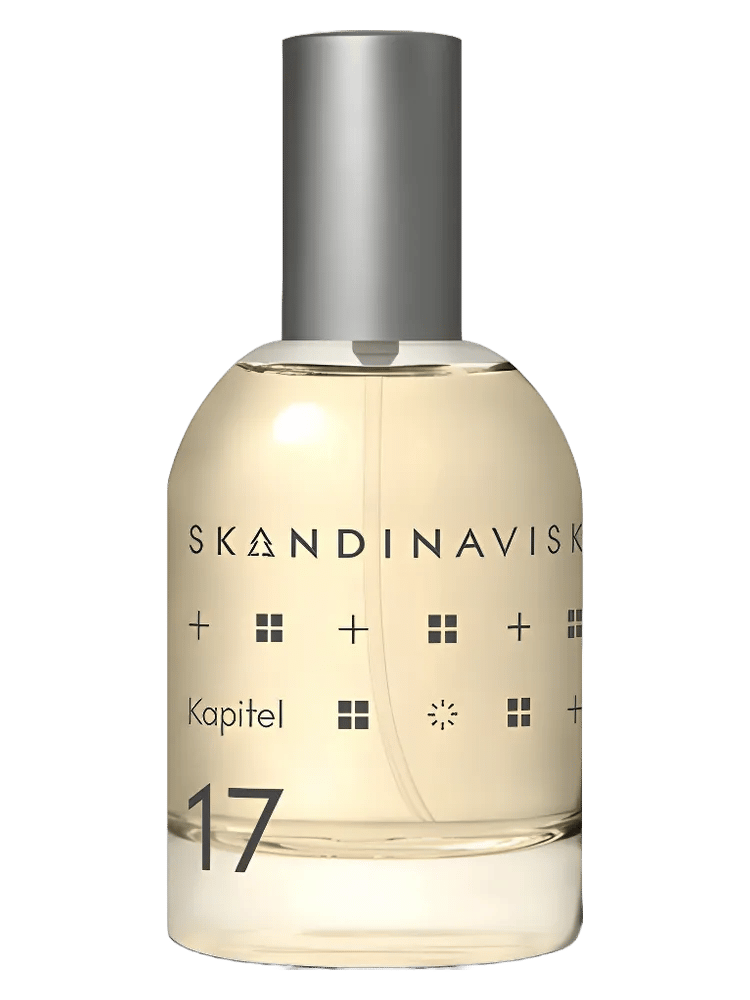 Kapitel 17 by Skandinavisk
