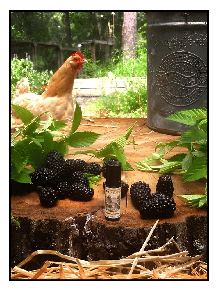 Blackburn Farmstead by Solstice Scents