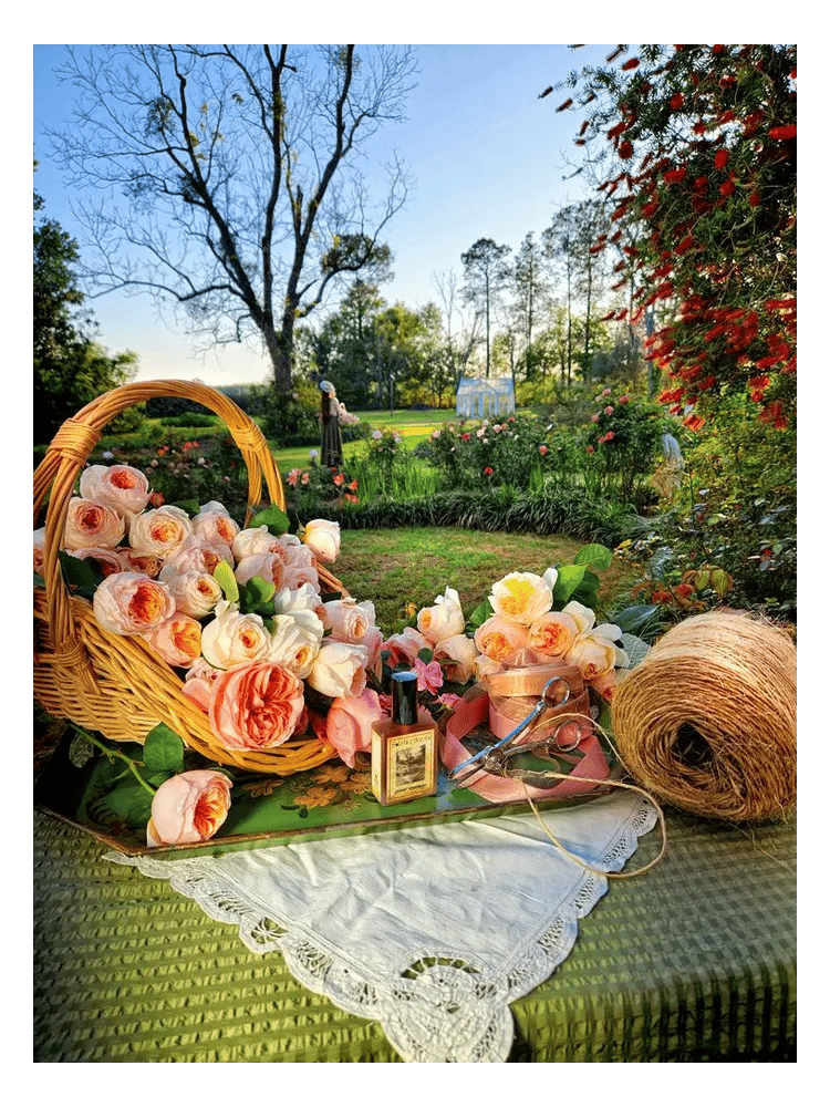 Estate Rosarium by Solstice Scents