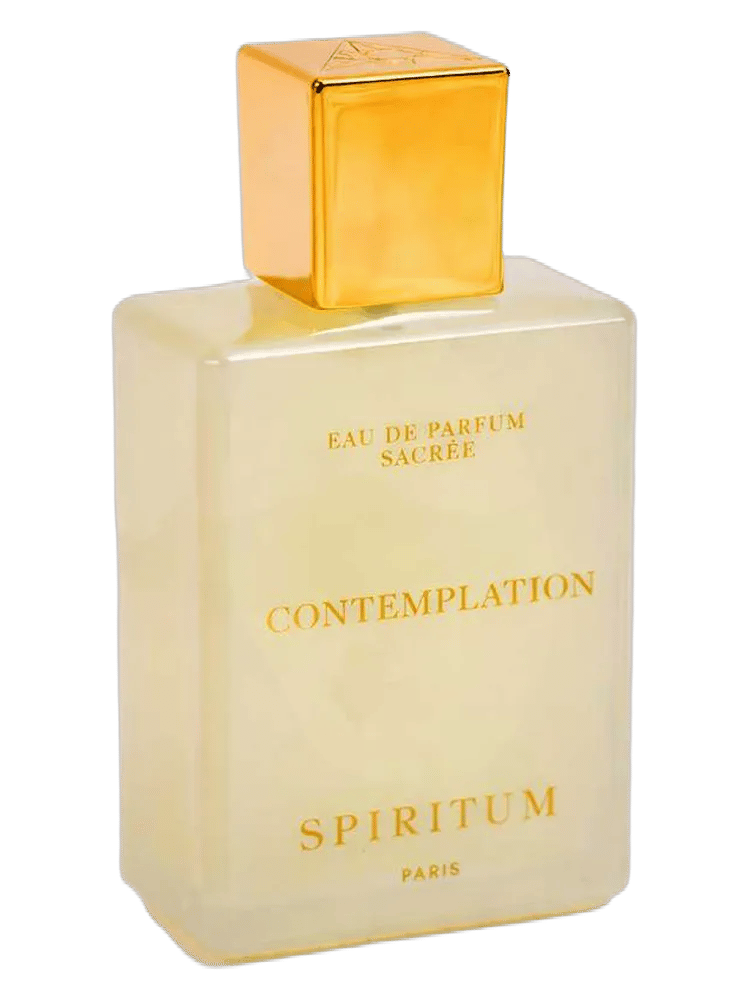 Contemplation by Spiritum