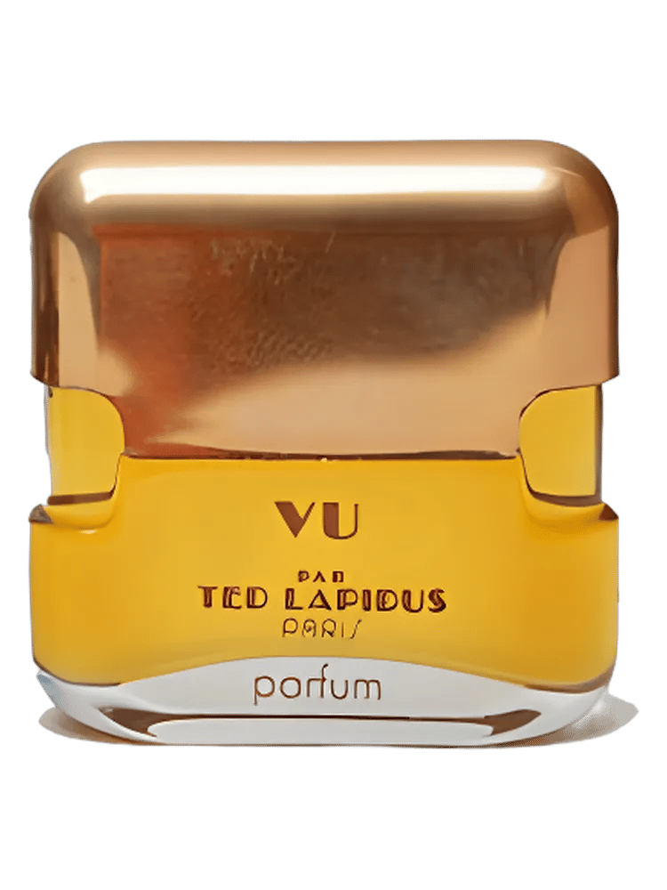 Vu par Ted Lapidus by Ted Lapidus
