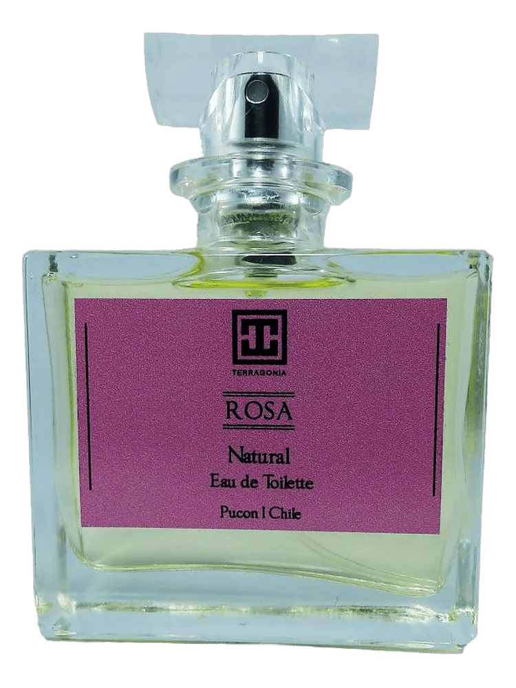 Rosa by Terragonia