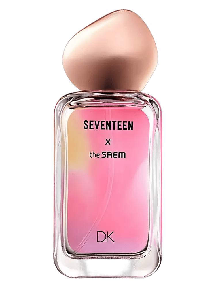 Seventeen X DK by The SAEM