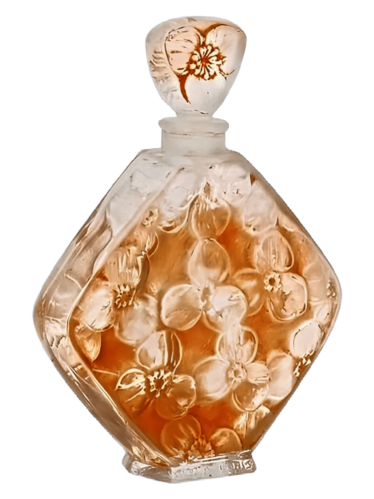 Napée by Volnay